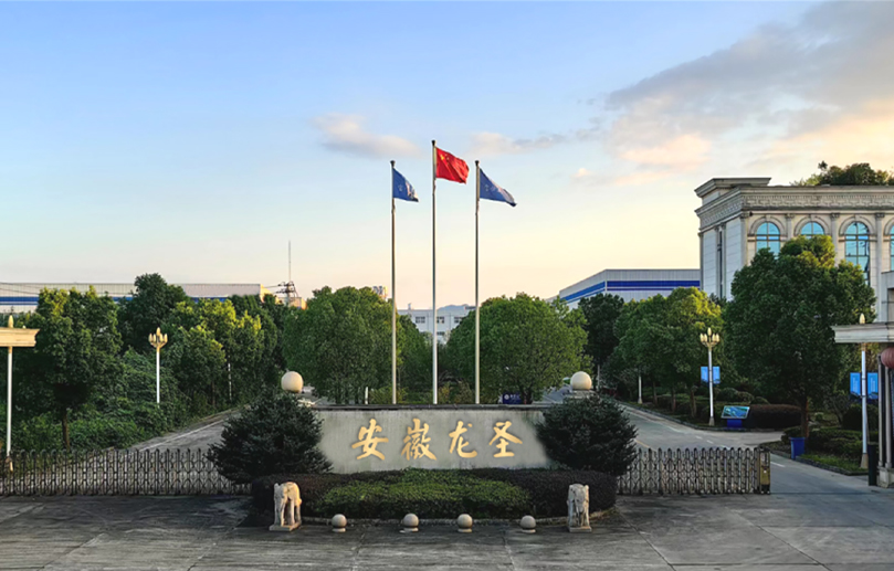 Anhui Longsheng Yeni Malzeme Teknolojisi Co., Ltd.